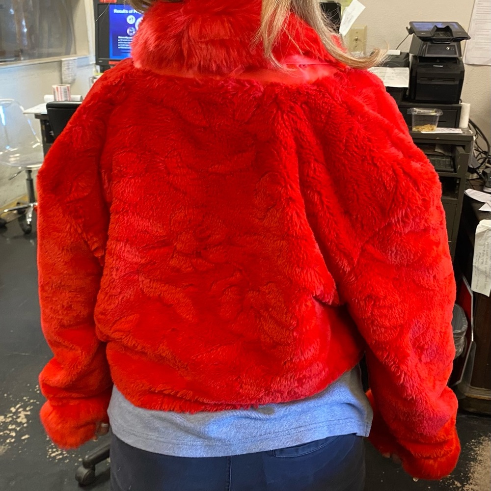 Jacket - Picture 2 of 5